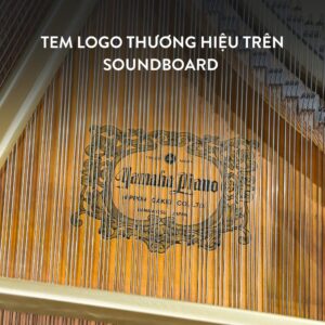 Đàn Grand Piano Yamaha C5 Cao Cấp Tại Đức Trí Music