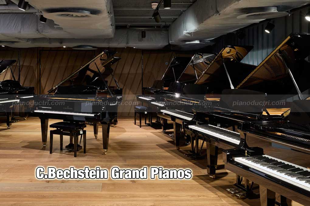 C.Bechstein Model B 1 Đàn piano C.Bechstein Grand
