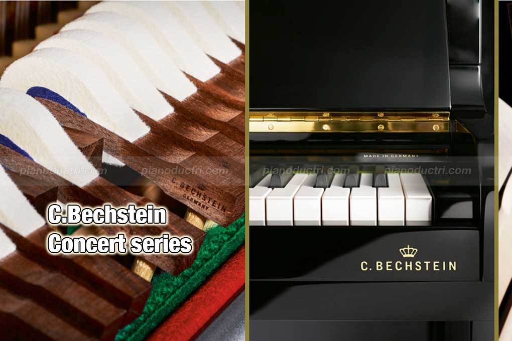 C.Bechstein WN 6 Đàn piano C.Bechstein Upright Dòng Concert