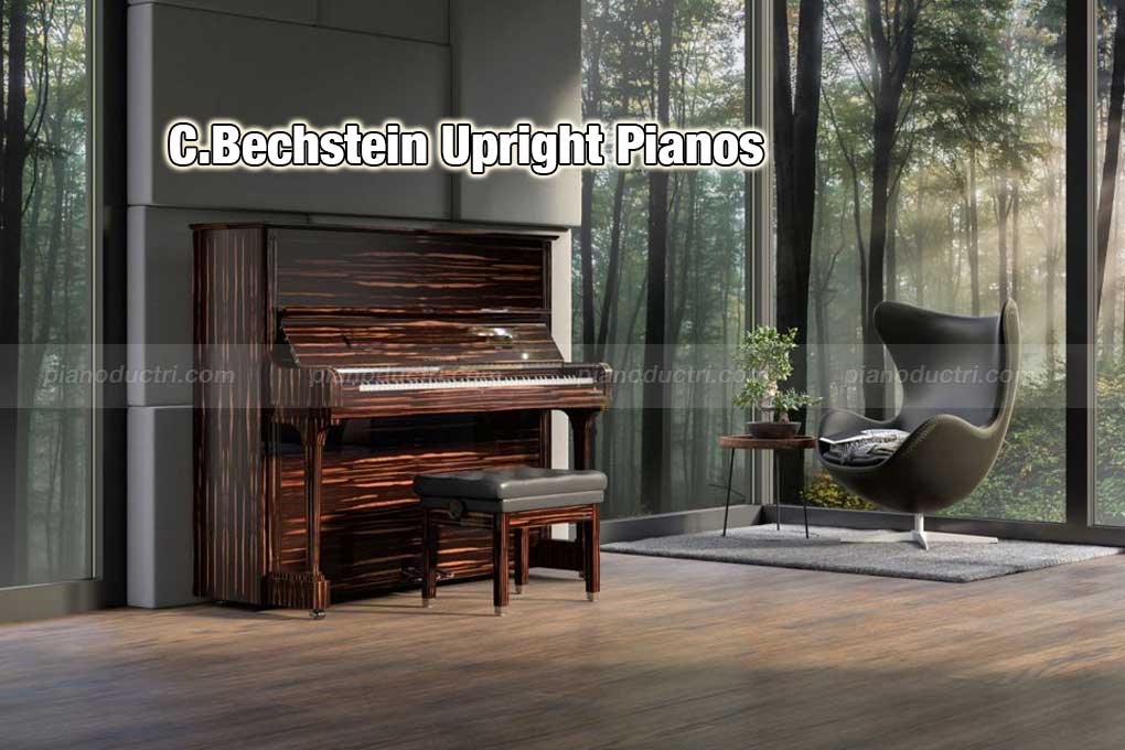 C.Bechstein WN 4 Đàn piano C.Bechstein Upright