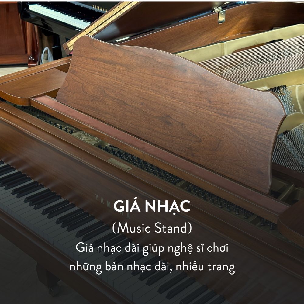 Yamaha G5E Walnut 4 Grand Piano Yamaha G5E Walnut