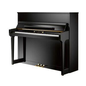 Wilhelm-Schimmel-W118 tradition
