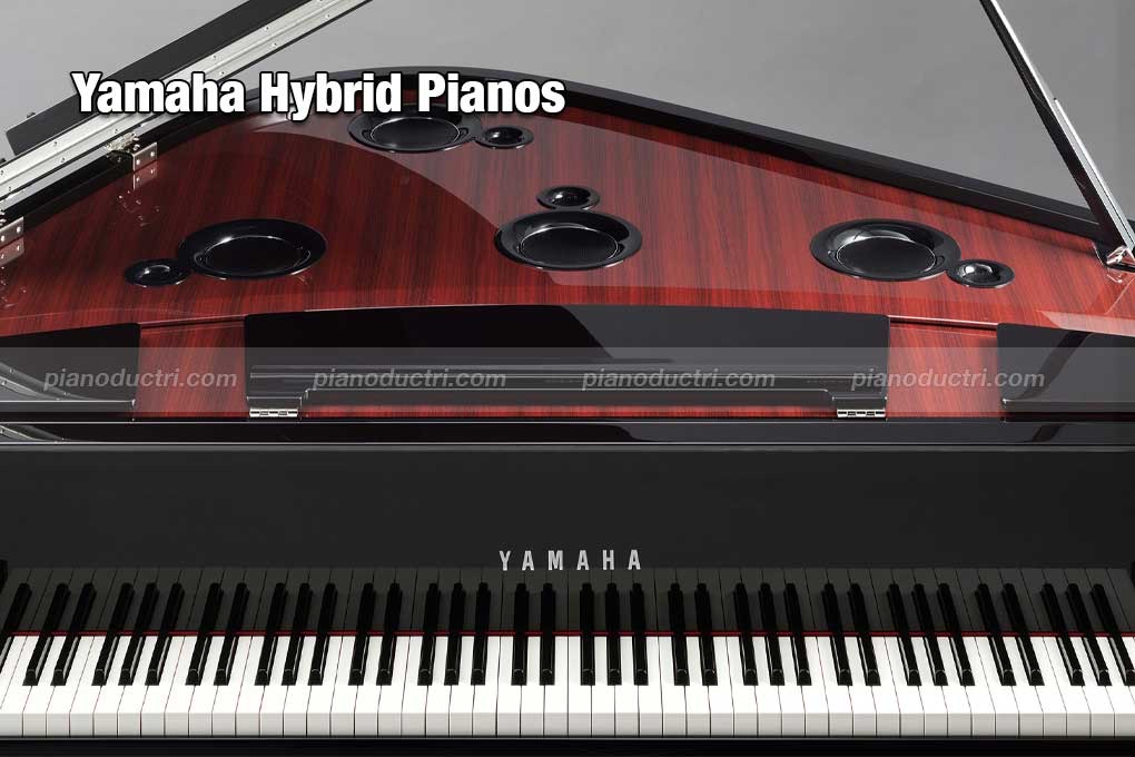 Yamaha CLP-575 8 Yamaha Hybrid Pianos