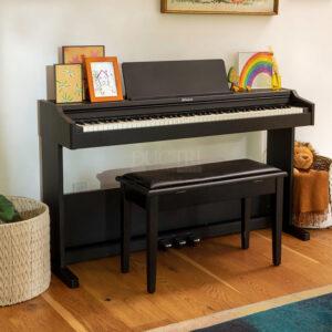 roland rp107