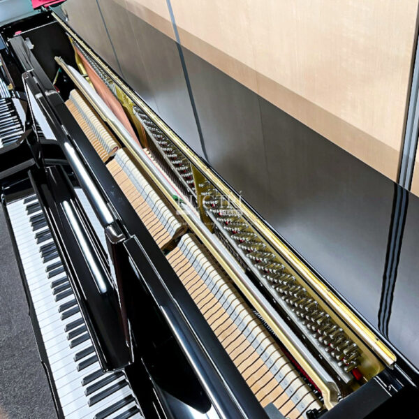 Action Yamaha UX100