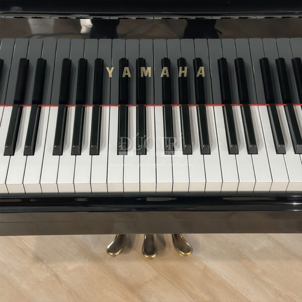 Bàn phím Yamaha C5LA
