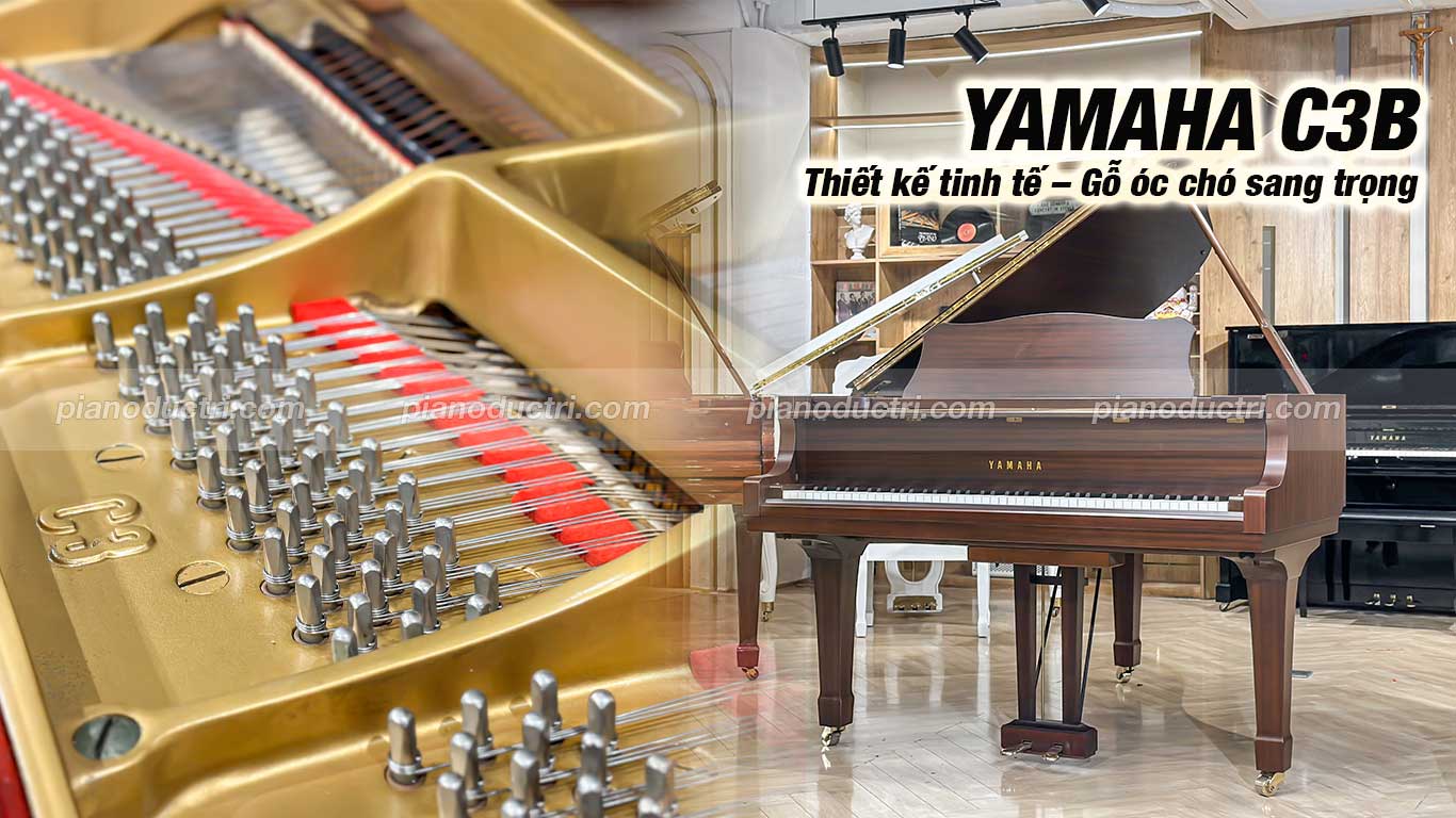 Yamaha C3B Walnut 2 Đàn Grand Piano Yamaha C3B Walnut cao cấp tại Piano Đức Trí