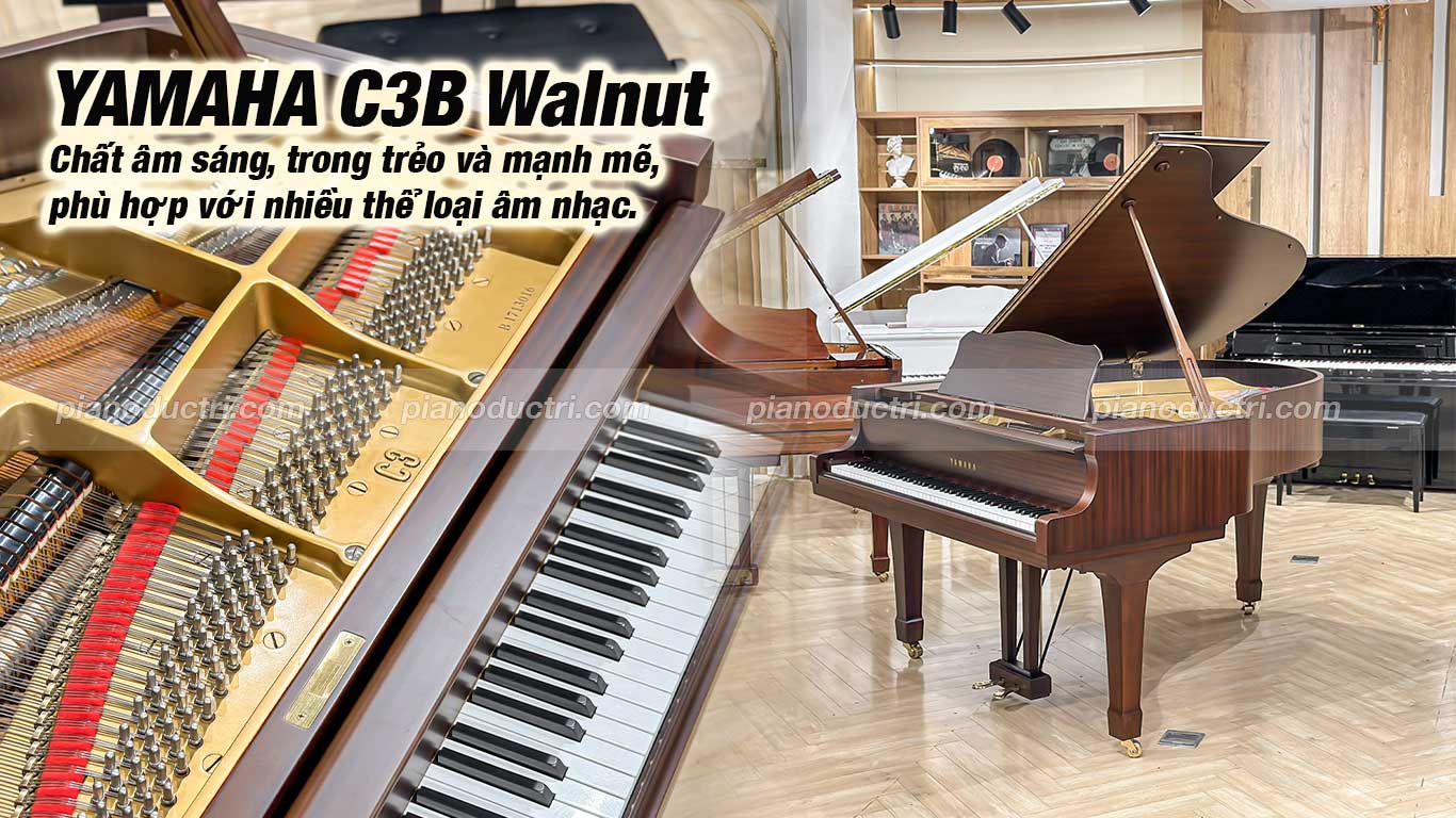 Yamaha C3B Walnut 4 Đàn Grand Piano Yamaha C3B Walnut Giá tốt tại Piano Đức Trí