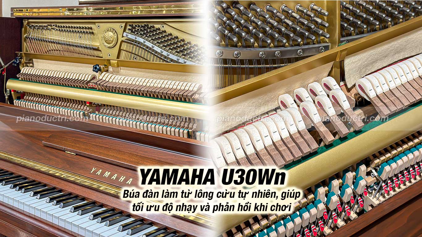 Yamaha U30Wn 3 Đàn Piano Upright Yamaha U30Wn tại Đức Trí Music