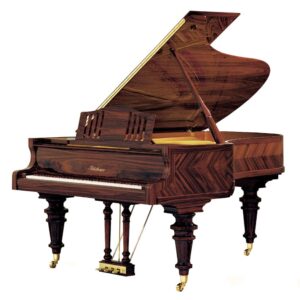 Blüthner Ambassador