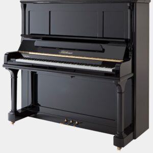 Blüthner S146