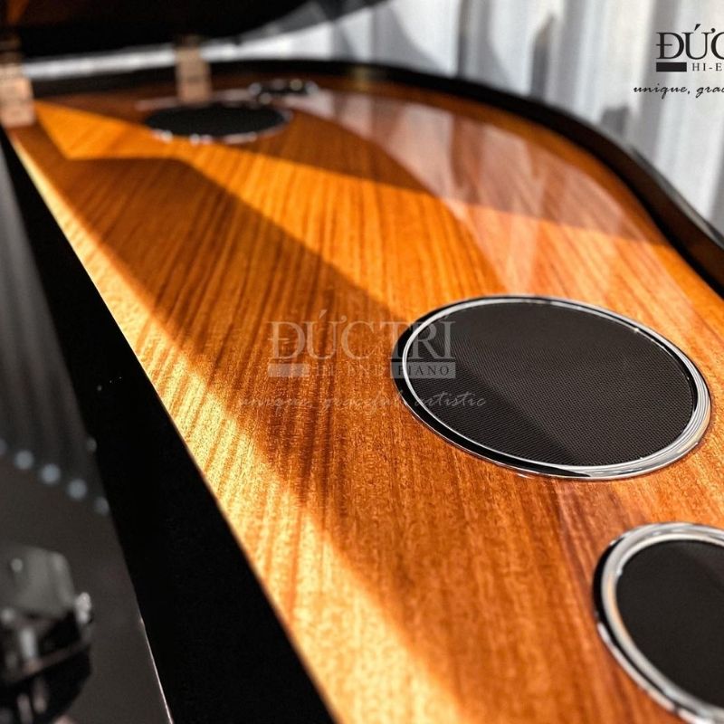 Yamaha AvantGrand N1 11 Hệ thống loa đàn Yamaha AvantGrand N1