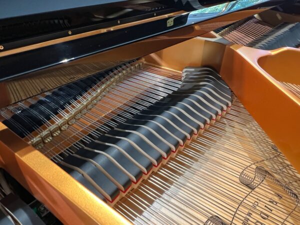 Hình ảnh dây đàn Piano Cơ Schimmel F156 Tradition