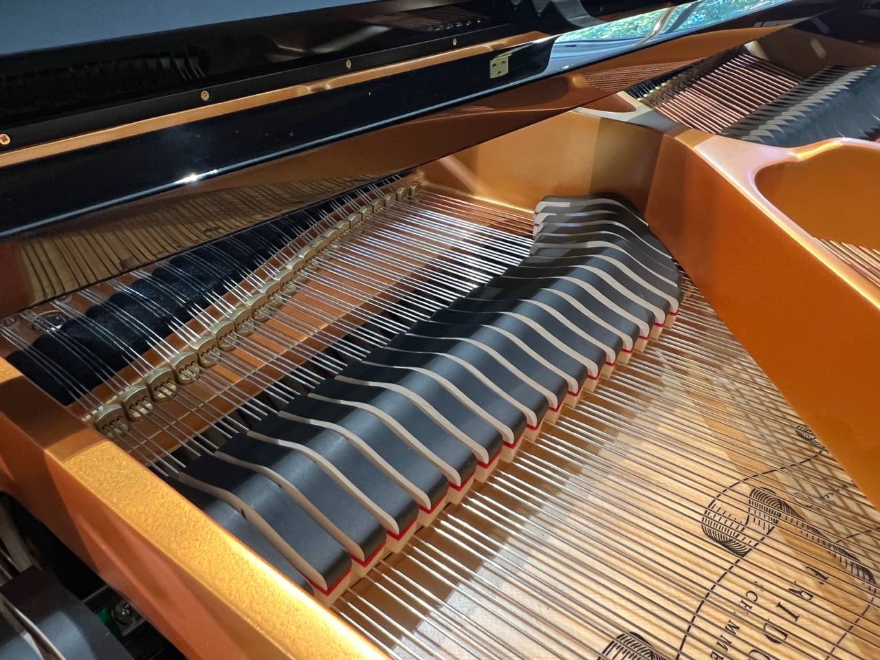 Schimmel F156 Tradition 3 Hình ảnh dây đàn Piano Cơ Schimmel F156 Tradition