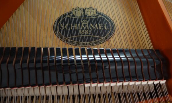 Hình ảnh dây đàn Piano Schimmel C169 Tradition