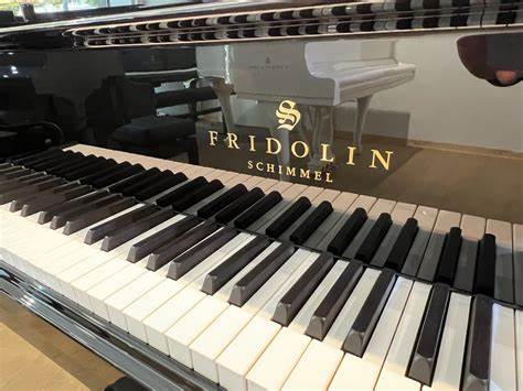 Schimmel F156 Tradition 2 Hình ảnh phím đàn Piano Cơ Schimmel F156 Tradition