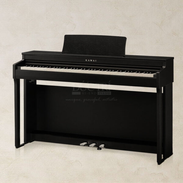 Kawai-CN201