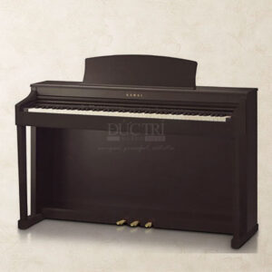 Kawai CN23