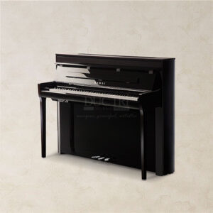Kawai-NV5