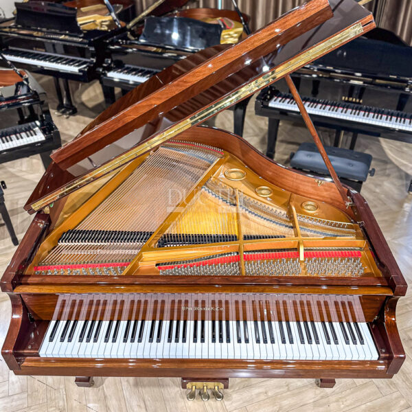 Grand Piano Wm Knabe & Co Cao Cấp tại Đức Trí Music