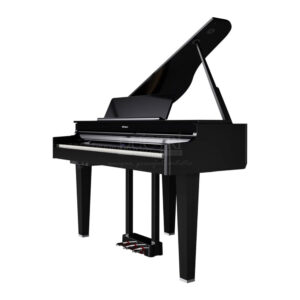 Roland GP-6