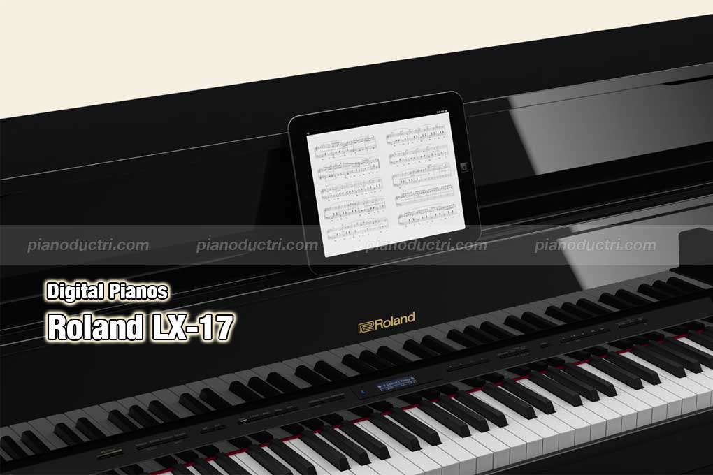 Roland LX-17 1 Roland LX-17