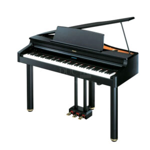 Roland-RG-1