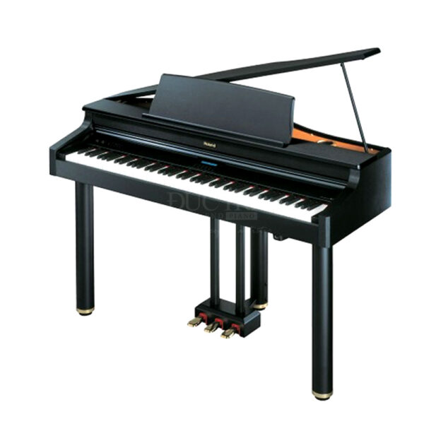 Roland-RG-1