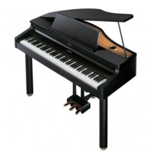 Roland RG-1F