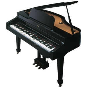 Roland-RG-3