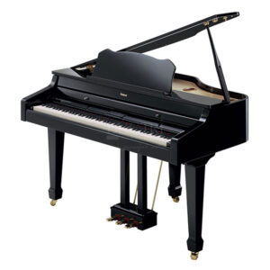Roland RG-3F