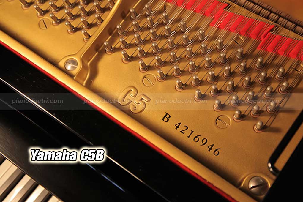 Yamaha C5B 1 Seri Yamaha C5B