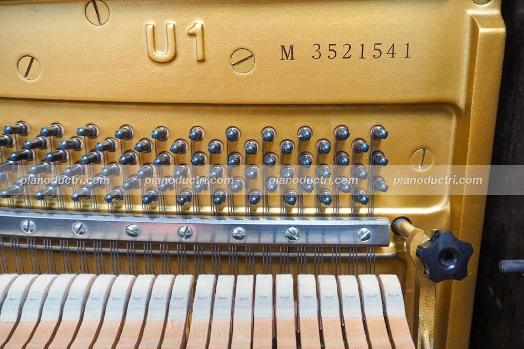 Yamaha U1M 1 Số seri đàn piano Yamaha U1M