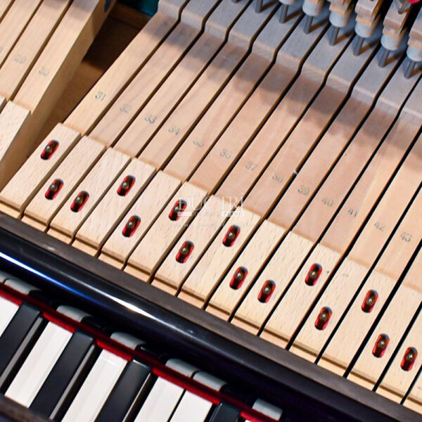 Thanh đòn phím đàn Yamaha UX100