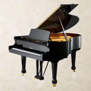 W. Hoffmann T186