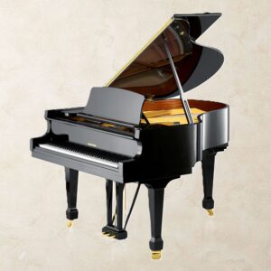W. Hoffmann T161