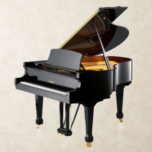 W. Hoffmann T177