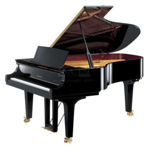 Yamaha-CSII