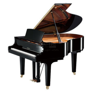 Yamaha G2D