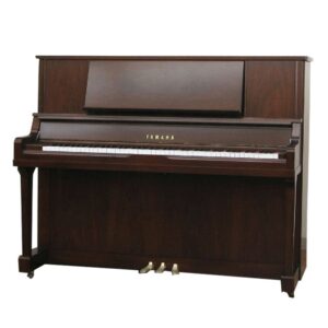 Yamaha Wx1AWnC