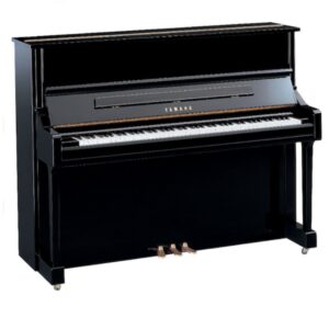 Yamaha YM50