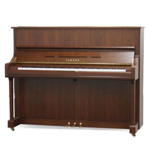 Yamaha YU10Wn