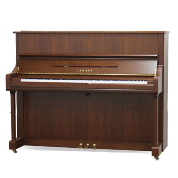 Yamaha YU10Wn