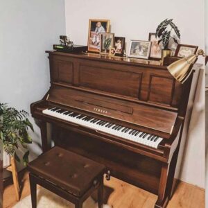 Yamaha YU3Wn