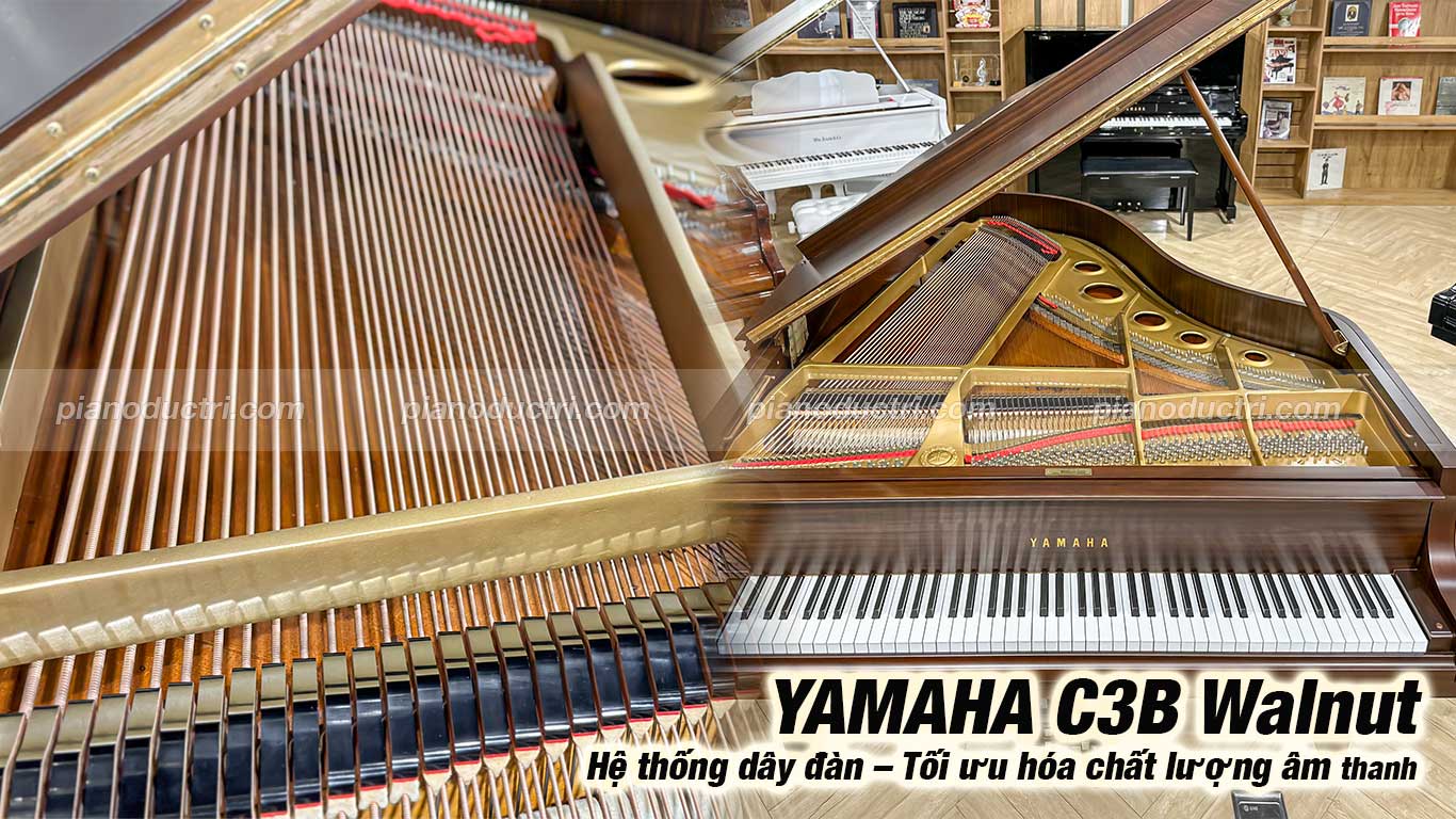 Yamaha C3B Walnut 3 Đàn Grand Piano Yamaha C3B Walnut Giá tốt tại Piano Đức Trí