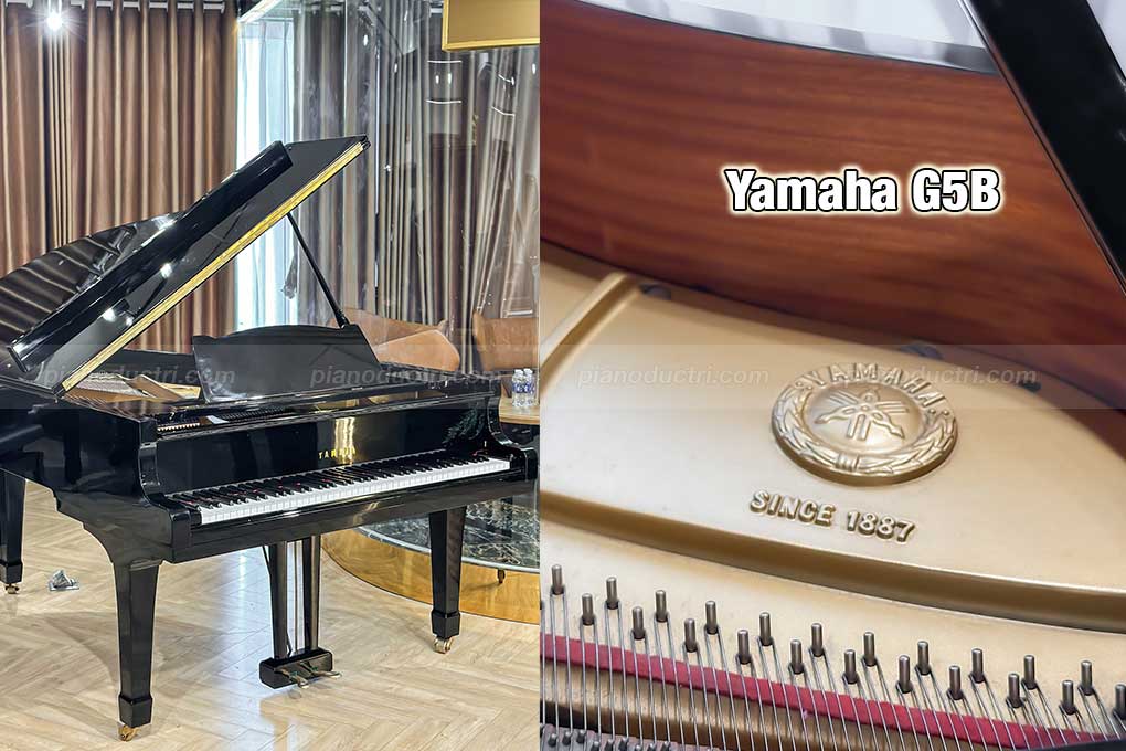 Yamaha G5B 1 Banner Yamaha G5B