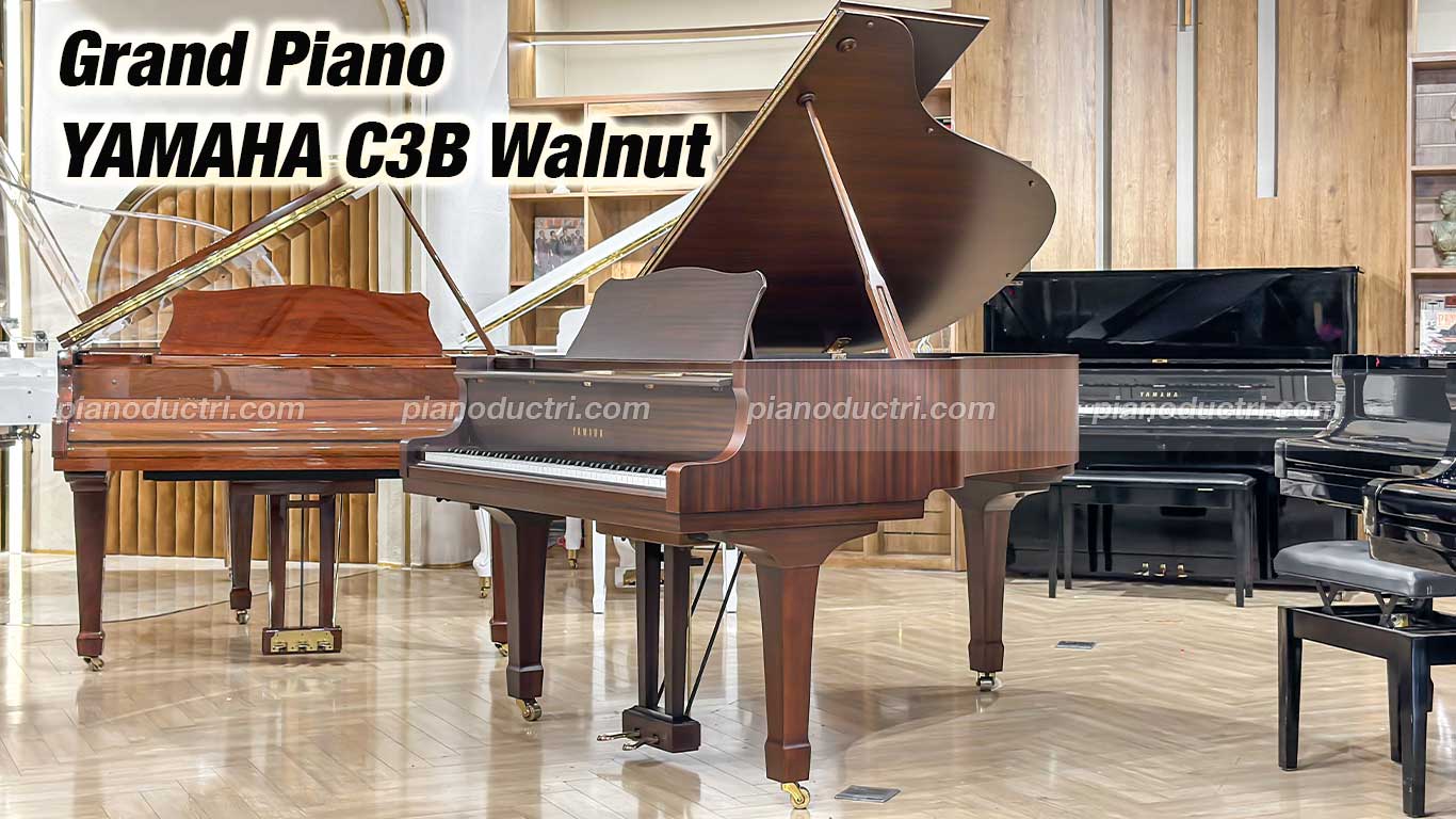 Yamaha C3B Walnut 1 Đàn Grand Piano Yamaha C3B Walnut cao cấp tại Piano Đức Trí