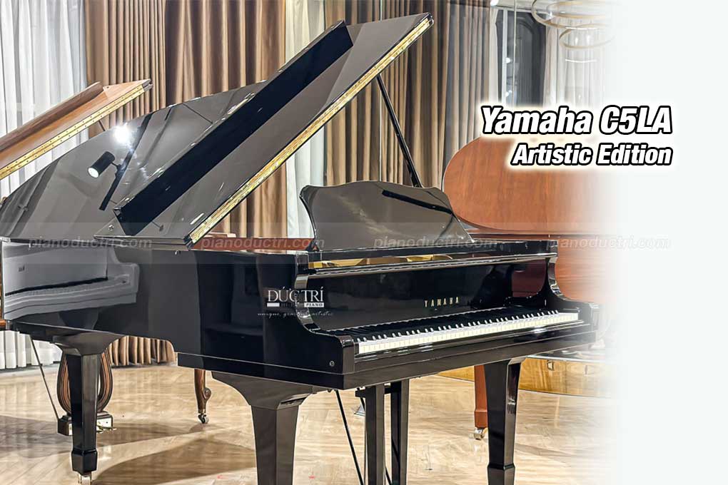 Yamaha C5LA 1 Banner Yamaha C5LA
