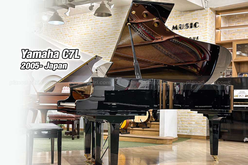 Yamaha C7L 1 Banner Yamaha C7L