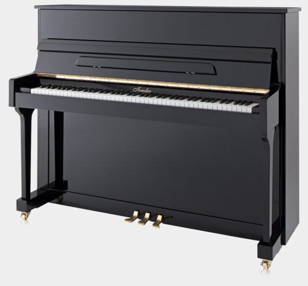 Irmler P118 Studio
